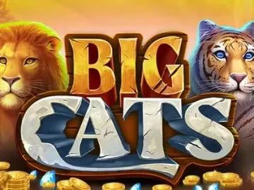Playio Casino screenshot